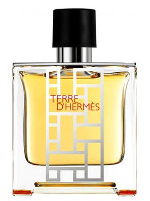 Hermes Terre d' flacon H 2013