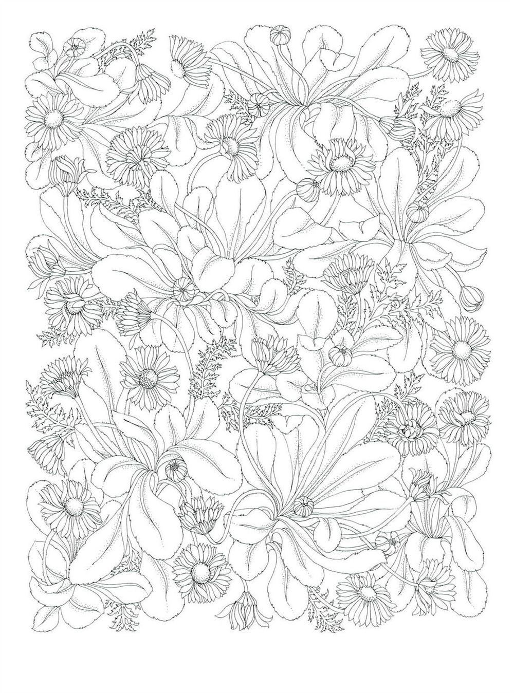 The flower year. Coloring Book (Korea)