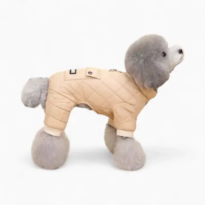 Комбинезон «Good luck»