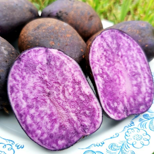 10 клубней картофеля Мраморный Со Склонов Анд