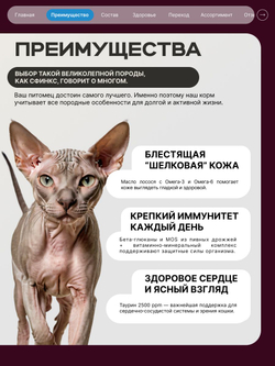 Корм сухой для взрослых стерилизованных кошек породы Сфинкс, полнорационный комплекс, с лососем, 400 гр, QUATTRO