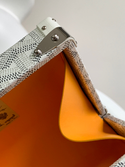 Goyard Minaudiere Trunk Bag