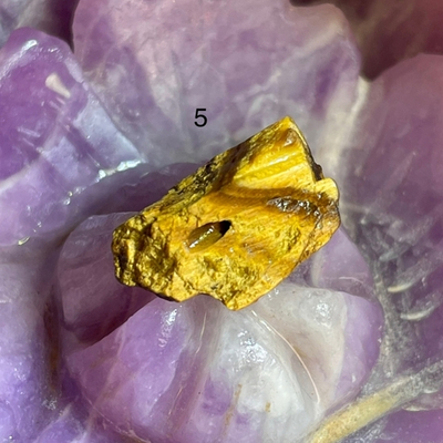 49163 Тигровый глаз Бусина необработанная 13-15м