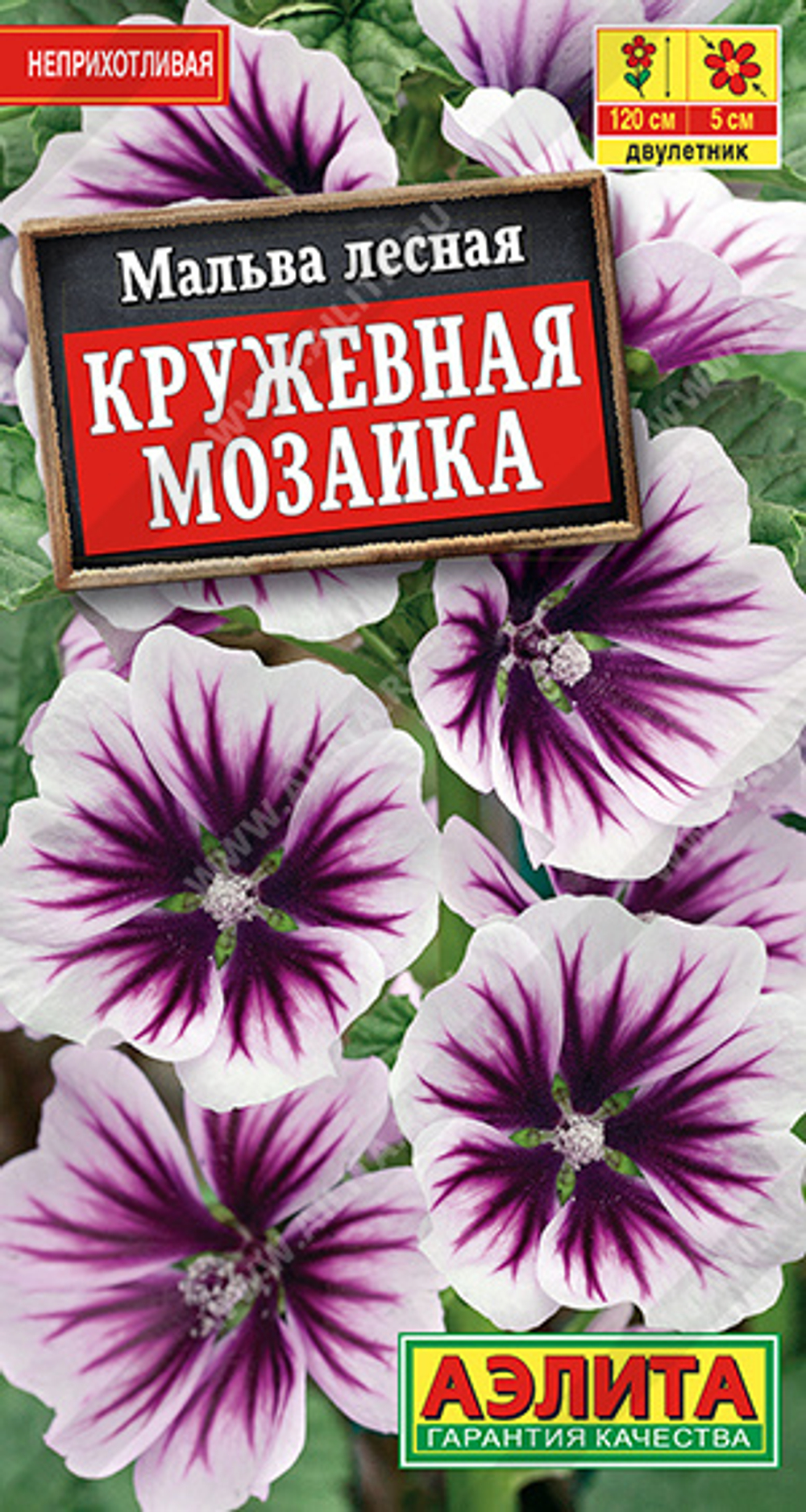 Мальва Кружевная мозаика Аэлита