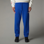 Брюки спортивные мужские THE NORTH FACE U AXYS JOGGER