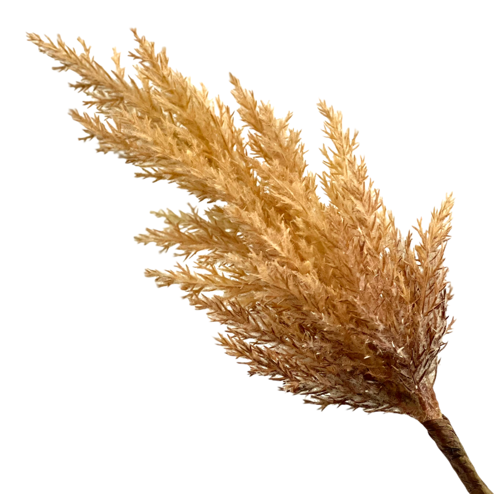 Пампасная трава 90 см, бежевая – купить в интернет-магазине, цена ...