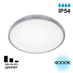 Citilux Луна CL702301N LED Светильник с диммером Хром