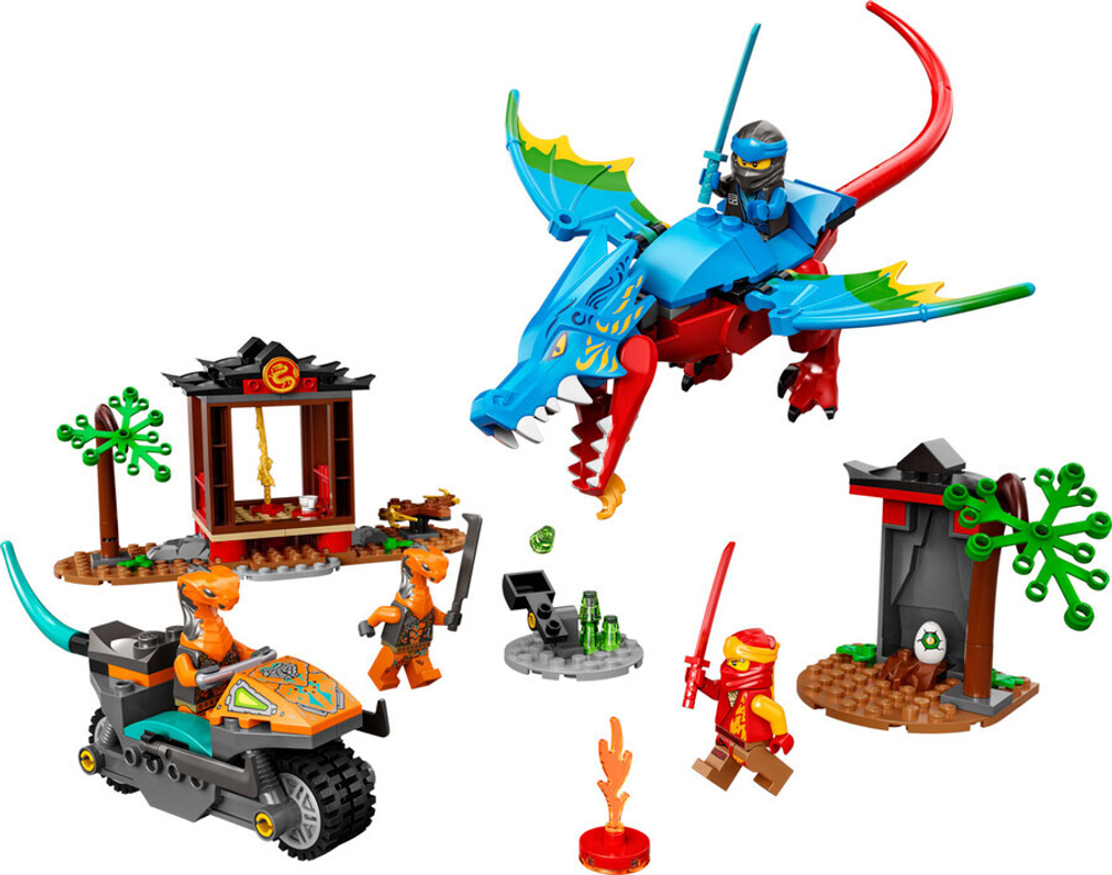 Конструктор LEGO Ninjago 71759 Драконий храм ниндзя