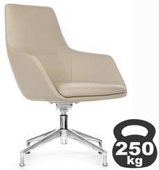 Кресло Soul-ST C1908 Светло-серый