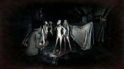 DreadOut: Keepers of The Dark (для ПК, цифровой код доступа)