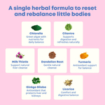 JoySpring, DetoxZee Herbal, 30 мл (1 жидк. Унция)