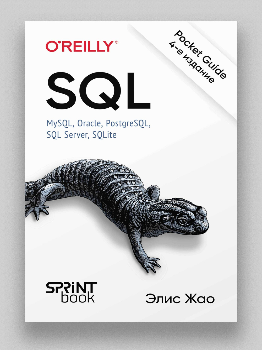 SQL. Pocket guide, 4-е изд.