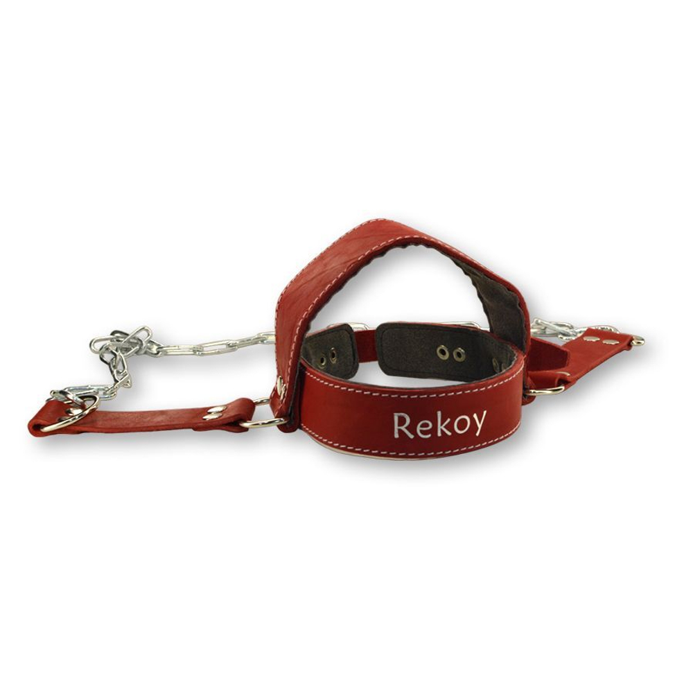 Тренажер для шеи упряжь из натуральной кожи ReKoy FG047
