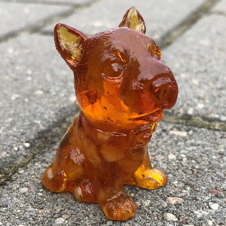 Собака глазастик Стаффордширский терьер