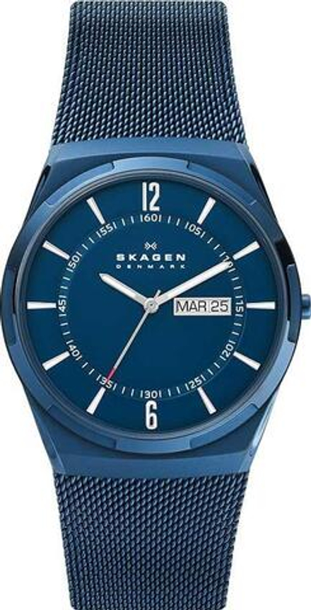 Мужские наручные часы Skagen SKW6788