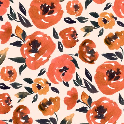 sunset roses