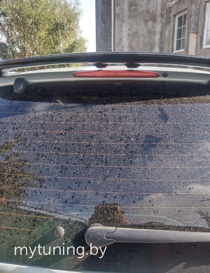 Спойлер для Renault Scenic 1