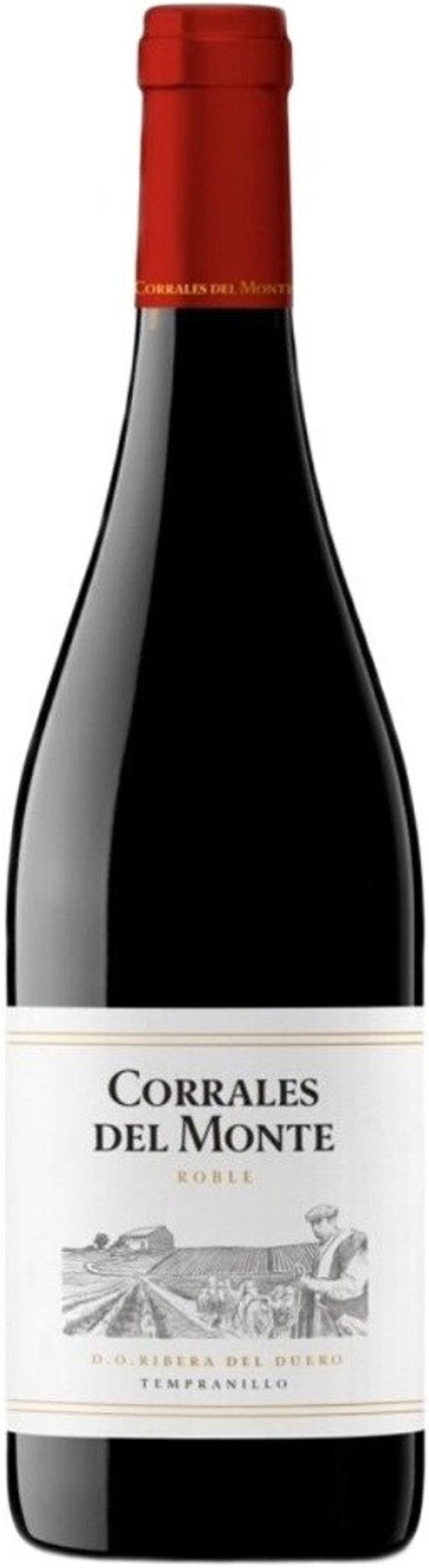 Вино Корралес дель Монте Робле