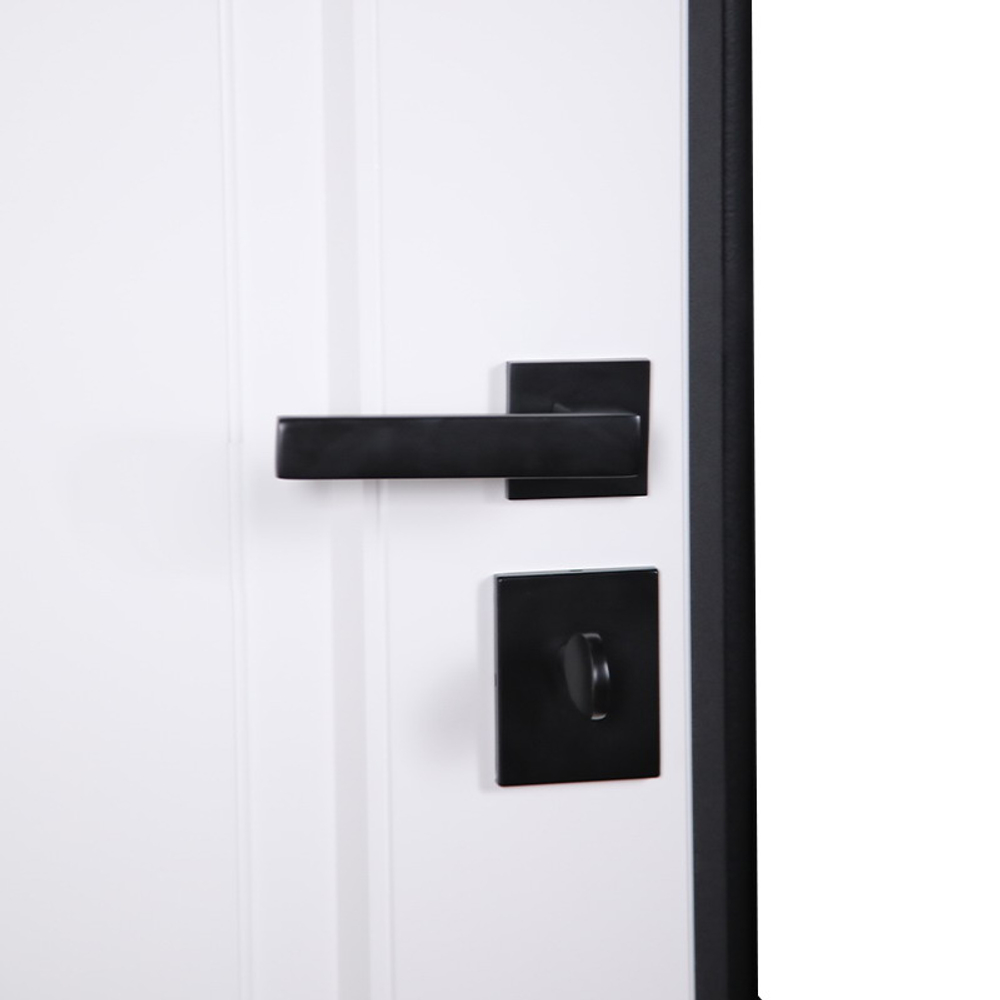 Стальная дверь "Сапсан" (адаптивная замковая часть)