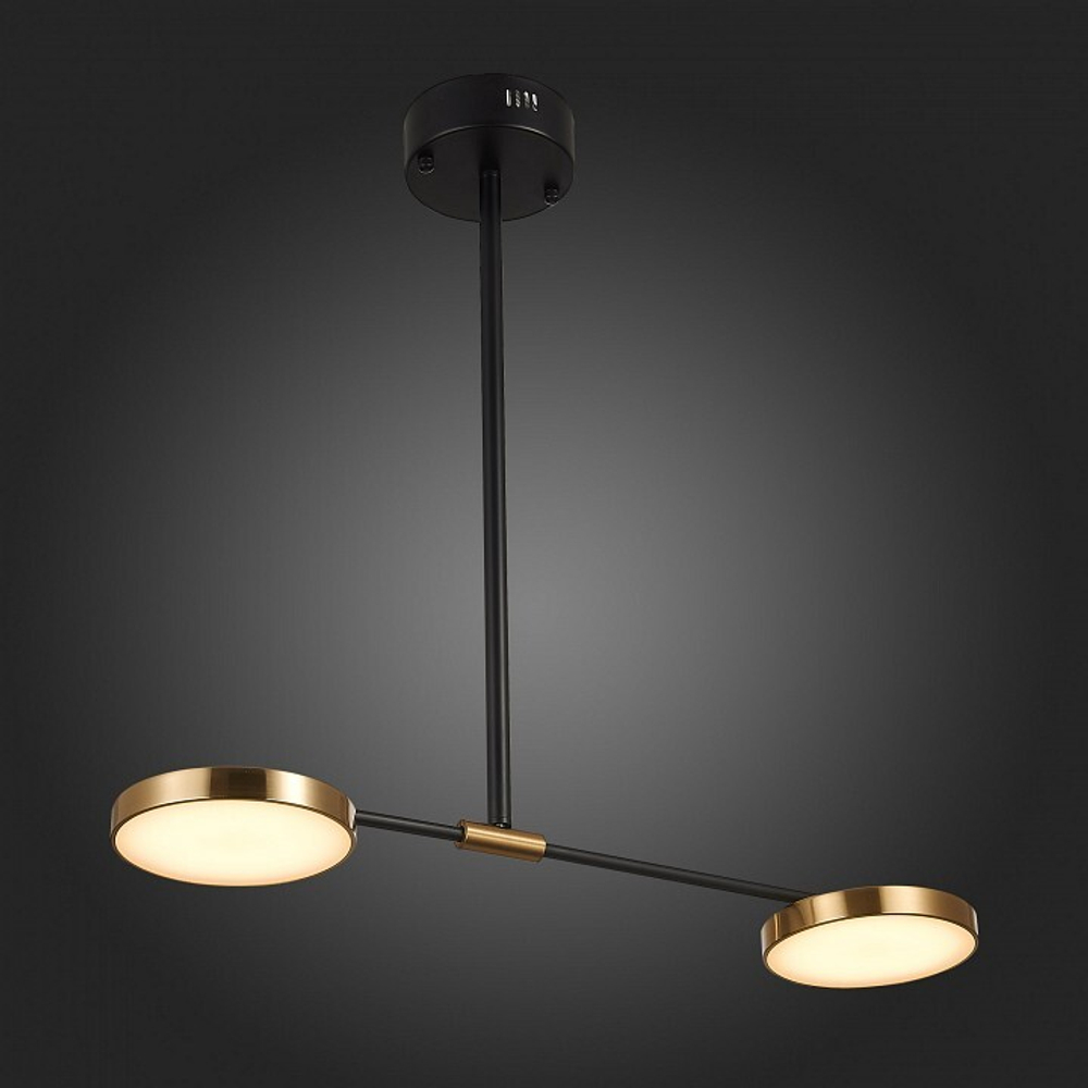 Светильник на штанге ST-Luce SL1605.403.02