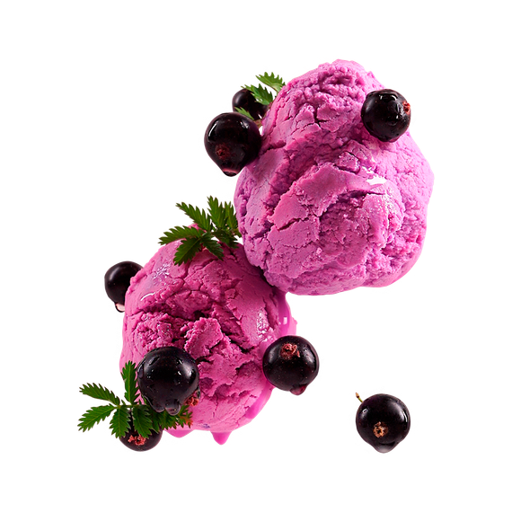 STARLINE - Currant sorbet (25g)