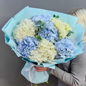 Букет из 7 гортензий