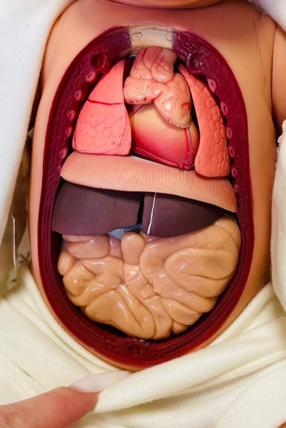 УЦЕНКА Кукла Baby Anathomic Nines 45см (N60409)