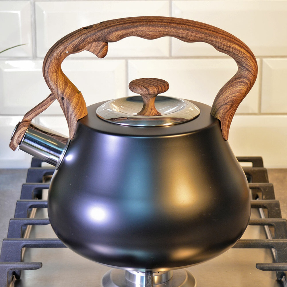 Чайник 2,8л нерж со свистком, нейлон, индукция, цвет антрацит, "Daniks" GS-04052B-1