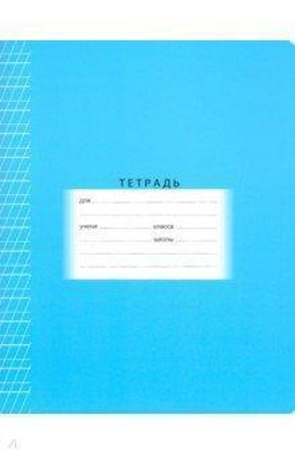 Тетрадь школьная А5 12л две линии с частыми наклонными "Школьная" в ассорт. (BG)