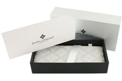 Перьевая ручка Diplomat Optimist ring M (D20000210) 7