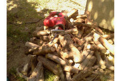 Сабельная пила Elitech ПС 500 178316