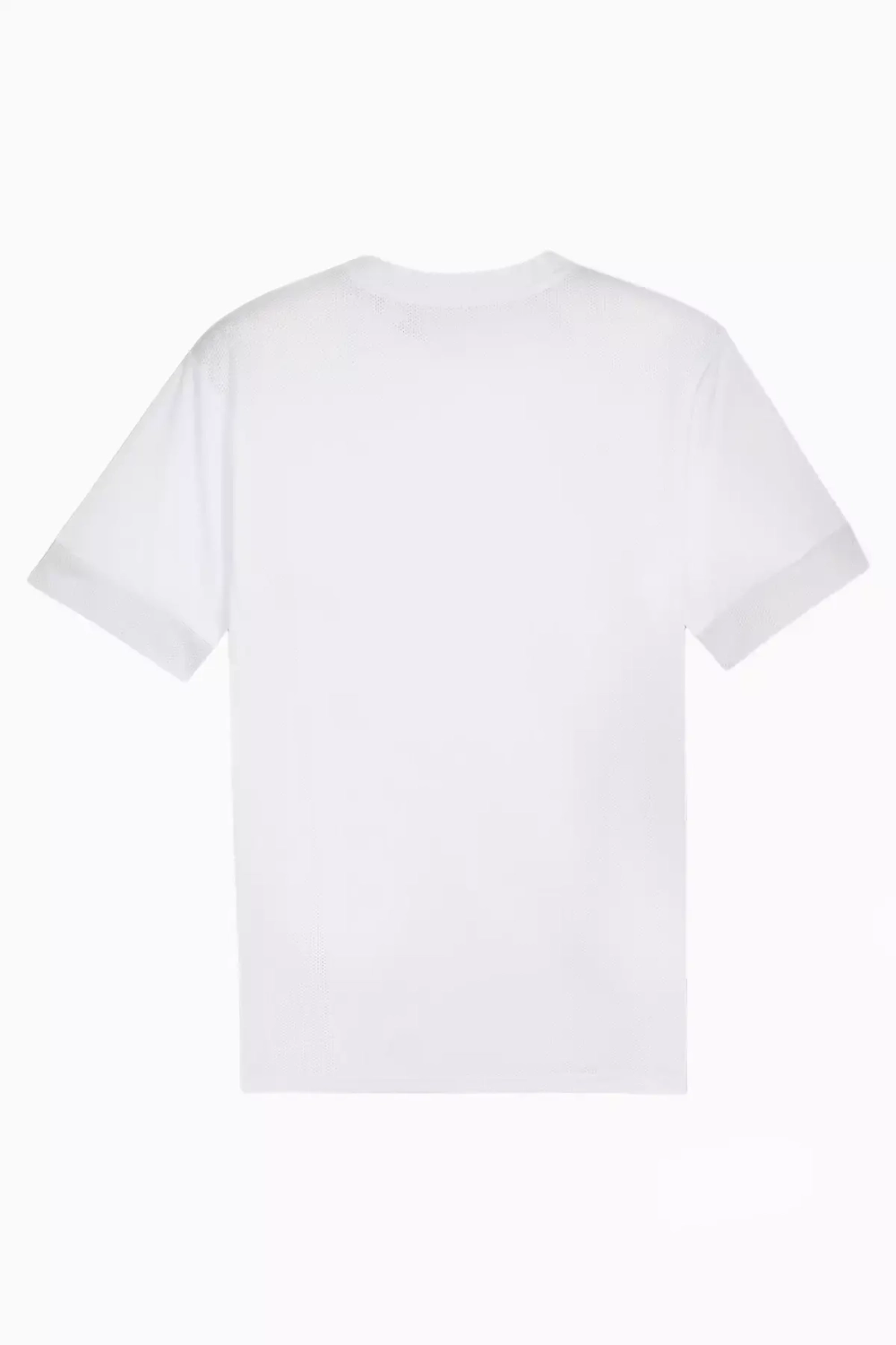 Футболка Puma teamGOAL Matchday