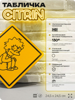 Табличка декоративная "Лиза Симпсон в стрессе" из сериала Симпсоны, на дверь и стену, прикольная штука в подарок фанату, декоративный знак ЦИТРИН, 24,5х24,5 см, пластиковая, Айдентика Технолоджи