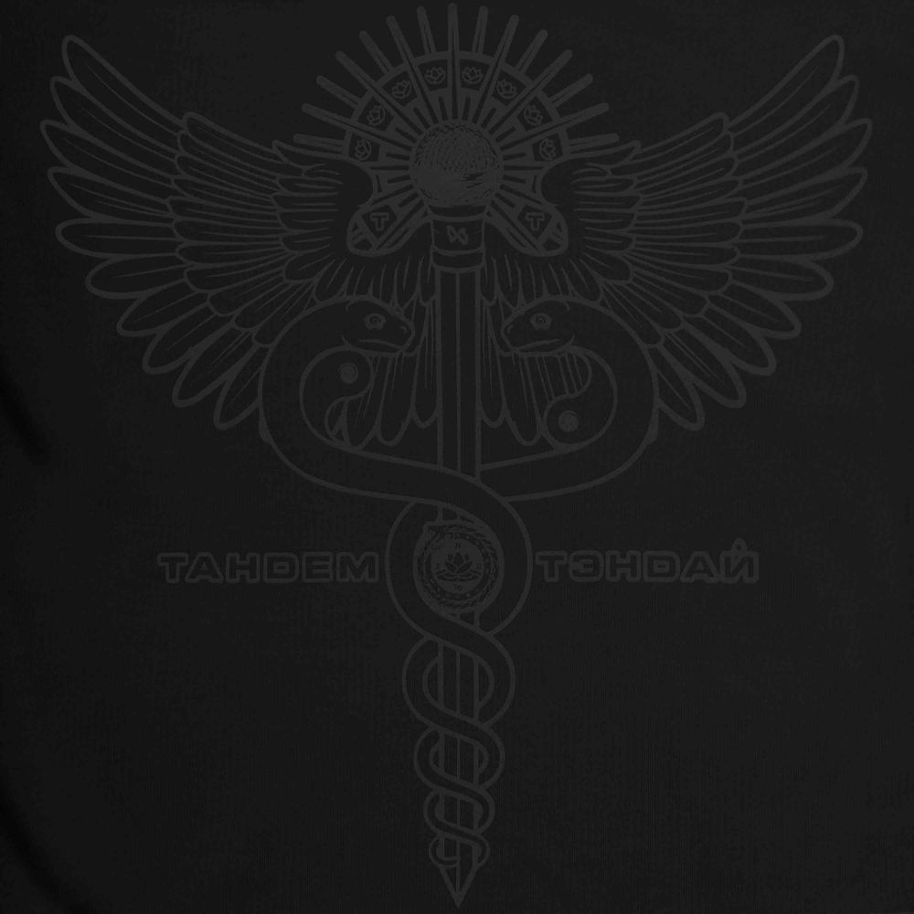Худи Тандем Тэндай Вестник черный