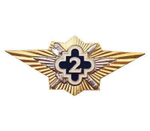 Значок Классность ФСИН 2 класс