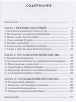 Сновидение в бодрствовании: методы 24-часового осознаваемого сновидения в психотерапии