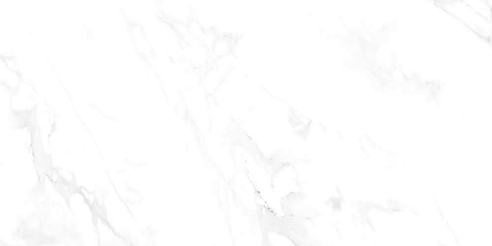 Neodom Sale Venus Bianco Polished 60x120