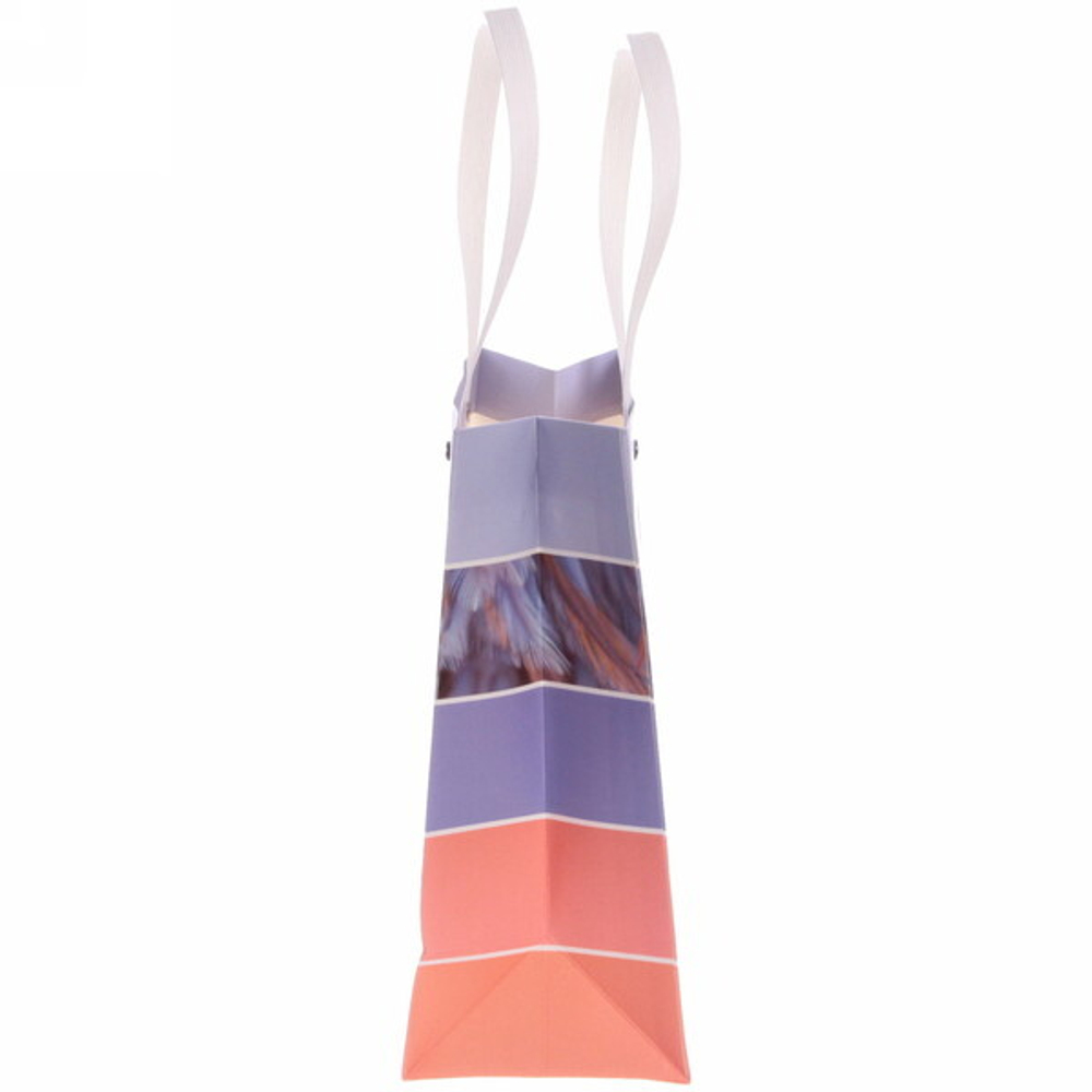 Пакет подарочный «Пастель» 23*18*10 см