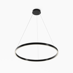 Подвесной светильник Maytoni MOD058PL-L42BK