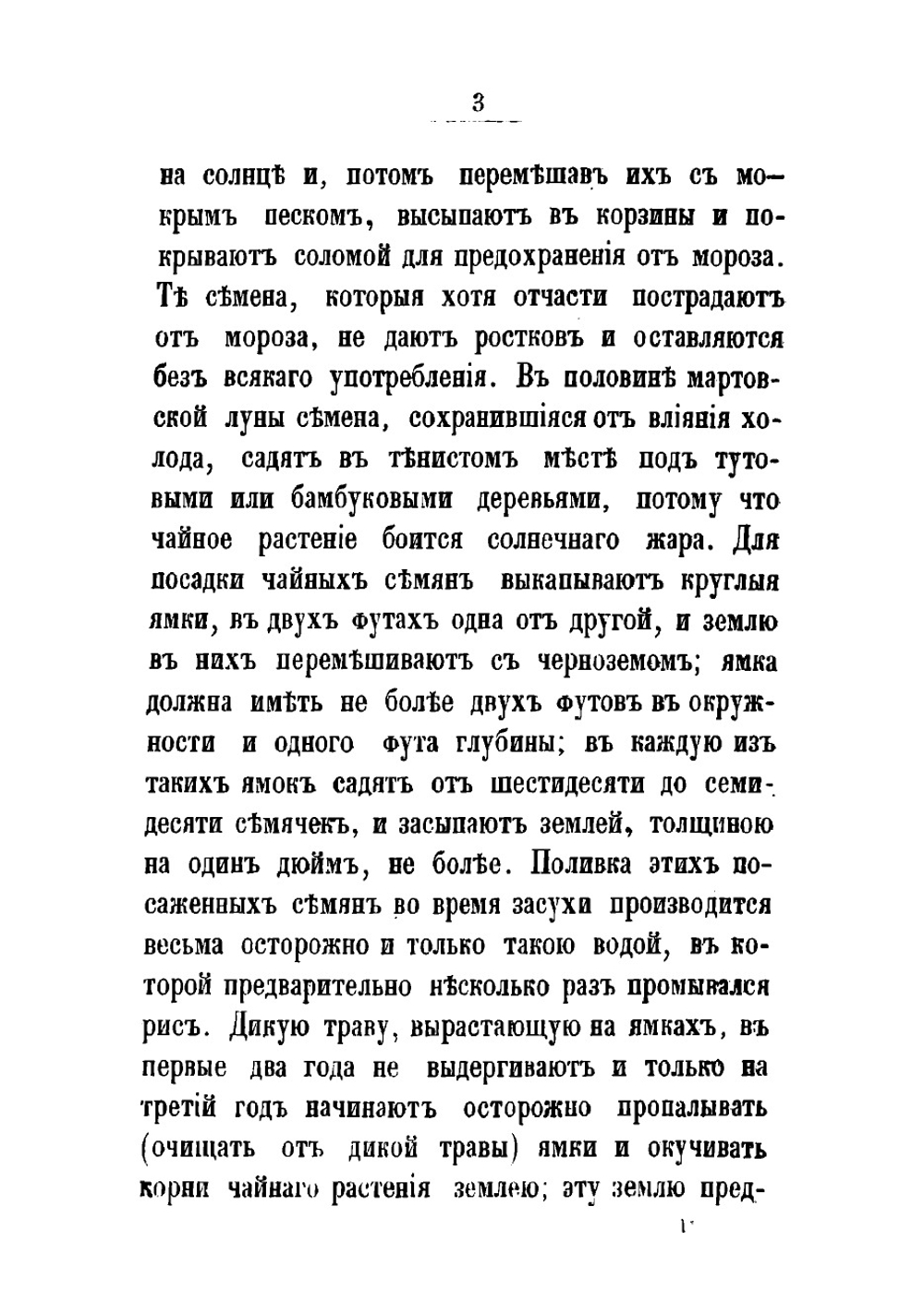 От Китая до Москвы. История ящика чаю. Очерки | Стахеев Дмитрий Иванович