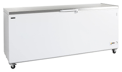 Ларь морозильный TEFCOLD CF700S SL