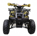 Квадроцикл ATV Termit TT Cross