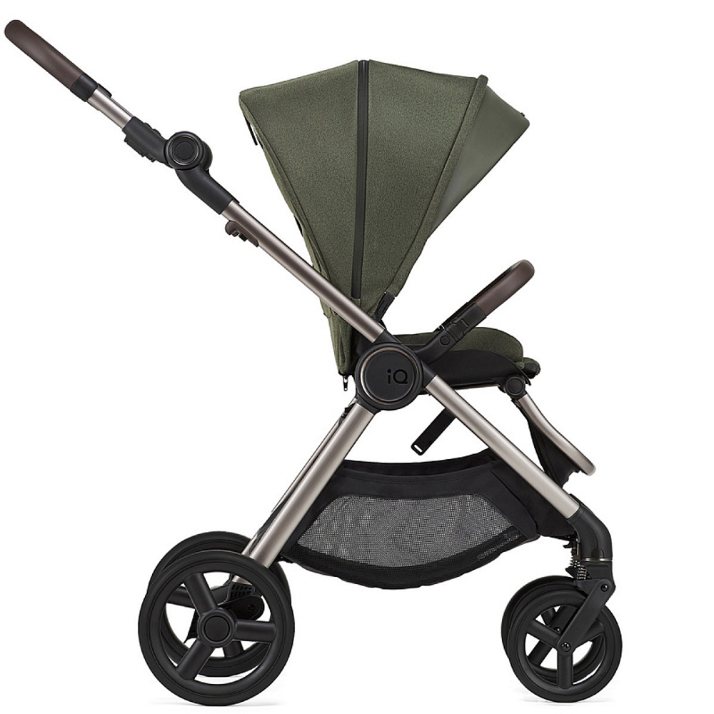 Детская коляска Anex IQ Premium 2 в 1 richi