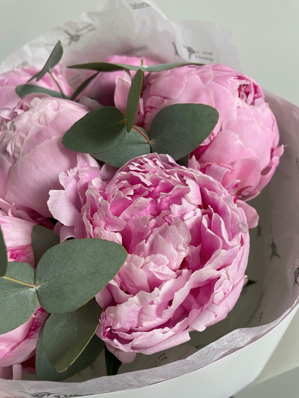 Букет 7 розовых пионов с добавление эвкалипта в оформлении