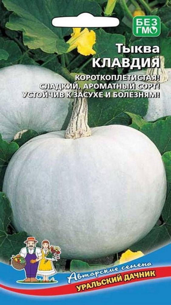 Тыква &quot;G. Клавдия&quot; 6шт, Россия.