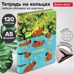 Тетрадь на кольцах А5 160х212 мм, 120 листов, картон, выборочный лак, клетка, BRAUBERG, "Капибары", 404731
