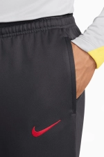 Штаны Nike Liverpool FC 24/25 Strike - черный