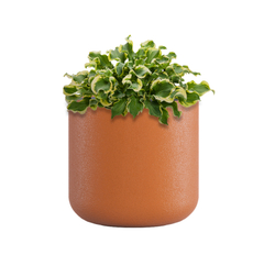 Кашпо, коллекция Classic, форма TOPPER