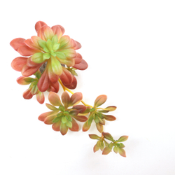 Laguna TERRA Растение пластиковое "Эхверия колората", красно-зеленое, 250*130*100мм