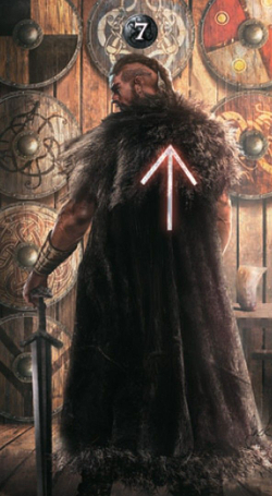 Таро Руническое (Таро Руны) (RUS)